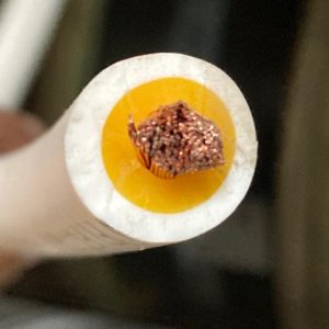 Cable silicona Panalt 25 mm² 7Kv 200°c